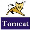 tomcat SSL证书配置